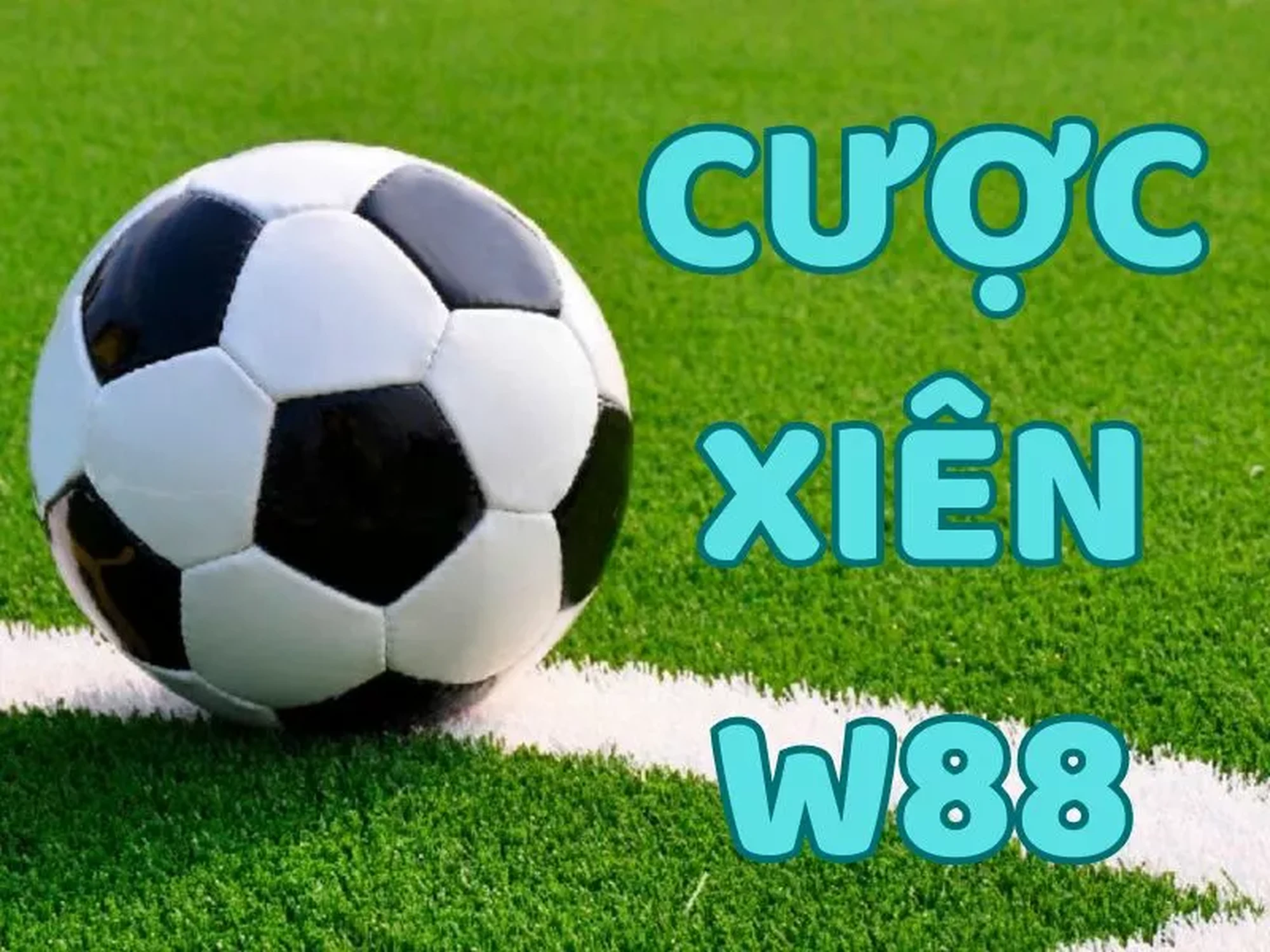 cach tinh cuoc xien w88.jpg